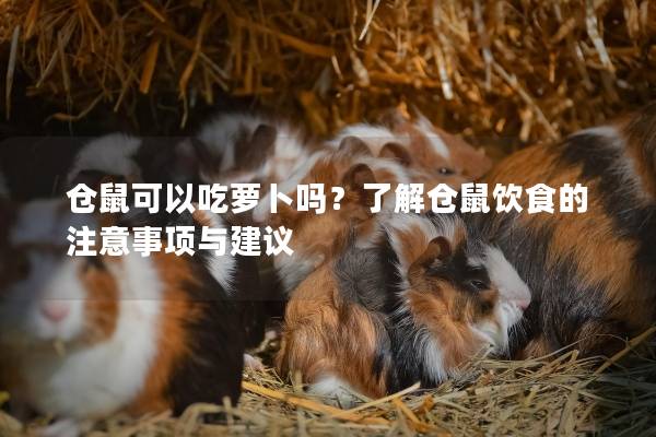 仓鼠可以吃萝卜吗？了解仓鼠饮食的注意事项与建议