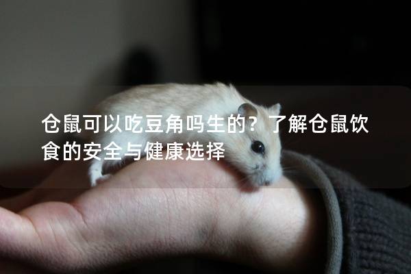 仓鼠可以吃豆角吗生的？了解仓鼠饮食的安全与健康选择