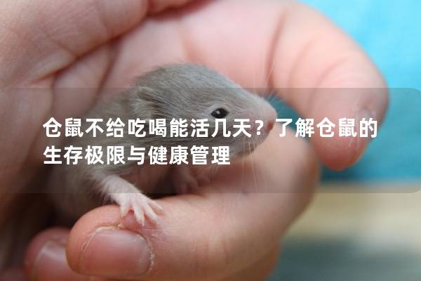 仓鼠不给吃喝能活几天？了解仓鼠的生存极限与健康管理