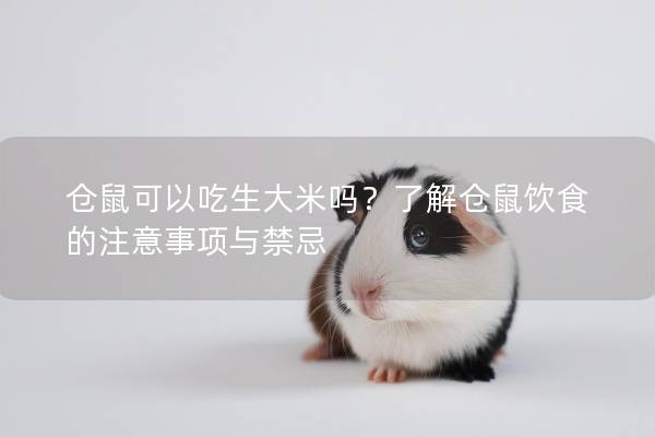 仓鼠可以吃生大米吗？了解仓鼠饮食的注意事项与禁忌