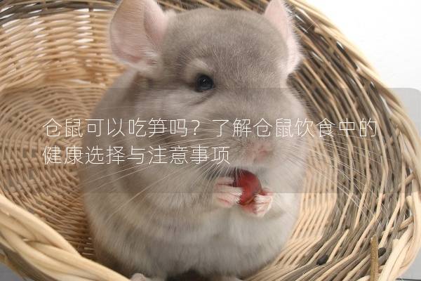 仓鼠可以吃笋吗？了解仓鼠饮食中的健康选择与注意事项