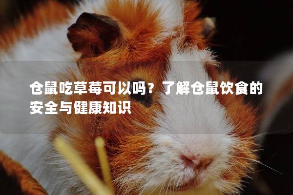 仓鼠吃草莓可以吗？了解仓鼠饮食的安全与健康知识