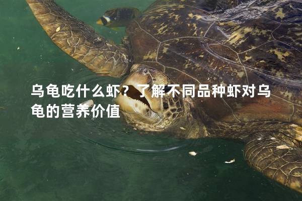 乌龟吃什么虾？了解不同品种虾对乌龟的营养价值
