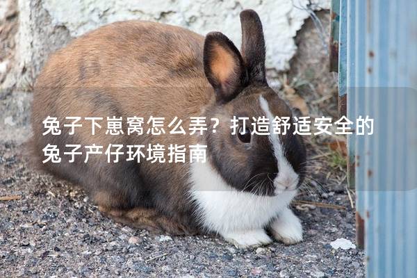兔子下崽窝怎么弄？打造舒适安全的兔子产仔环境指南