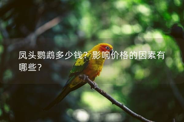 凤头鹦鹉多少钱？影响价格的因素有哪些？