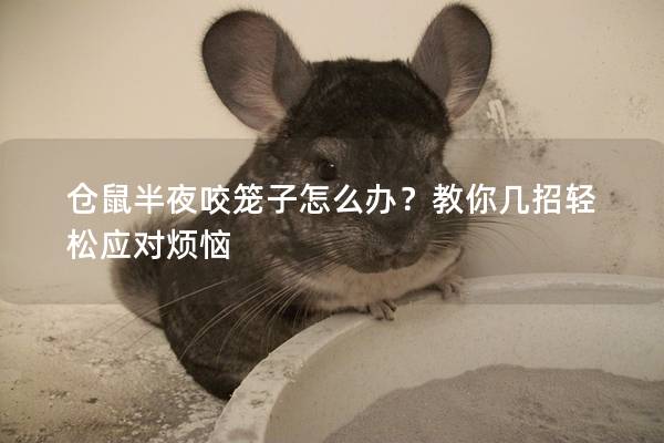 仓鼠半夜咬笼子怎么办？教你几招轻松应对烦恼