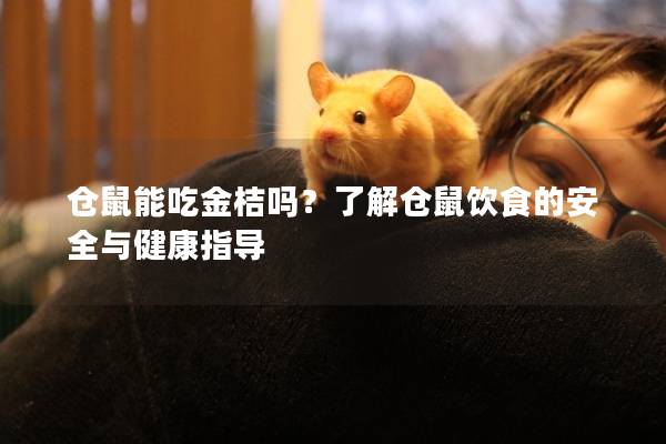仓鼠能吃金桔吗？了解仓鼠饮食的安全与健康指导