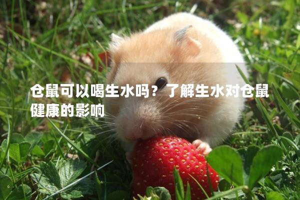 仓鼠可以喝生水吗？了解生水对仓鼠健康的影响