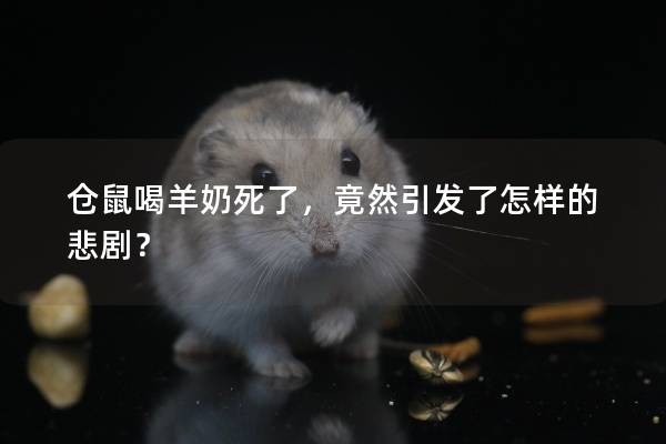 仓鼠喝羊奶死了，竟然引发了怎样的悲剧？