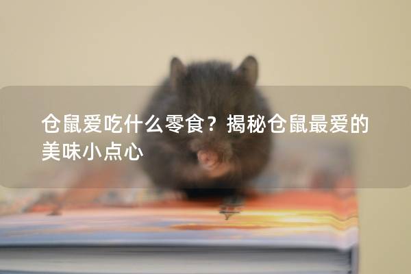 仓鼠爱吃什么零食？揭秘仓鼠最爱的美味小点心