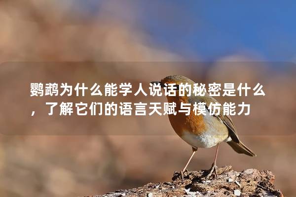 鹦鹉为什么能学人说话的秘密是什么，了解它们的语言天赋与模仿能力