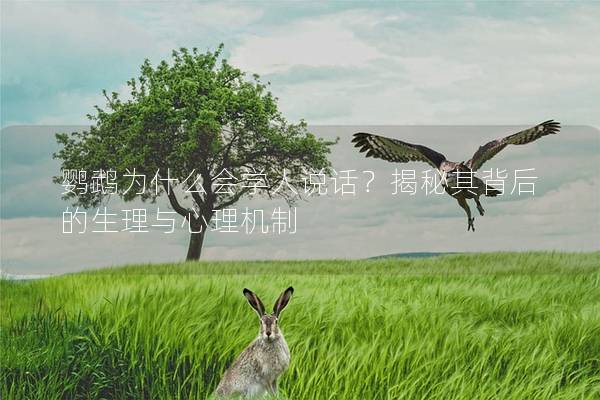 鹦鹉为什么会学人说话？揭秘其背后的生理与心理机制
