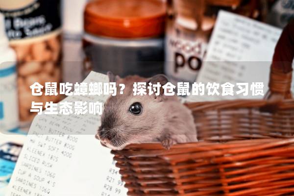 仓鼠吃蟑螂吗？探讨仓鼠的饮食习惯与生态影响