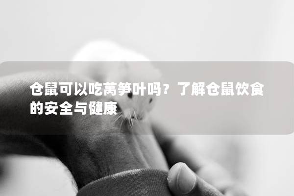 仓鼠可以吃莴笋叶吗？了解仓鼠饮食的安全与健康