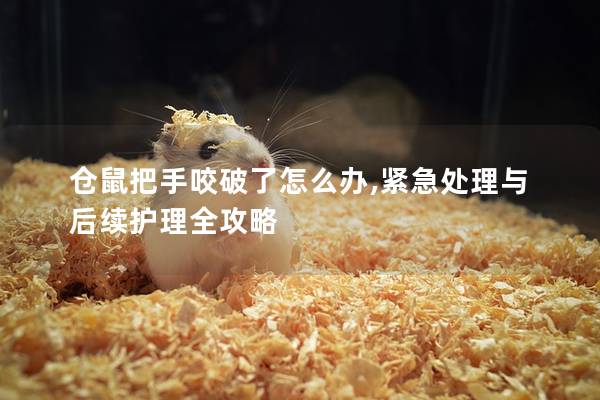 仓鼠把手咬破了怎么办,紧急处理与后续护理全攻略