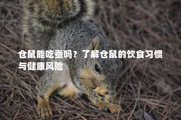 仓鼠能吃蚕吗？了解仓鼠的饮食习惯与健康风险