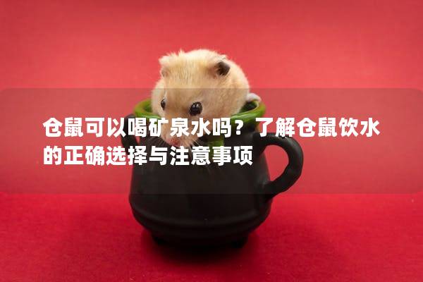 仓鼠可以喝矿泉水吗？了解仓鼠饮水的正确选择与注意事项