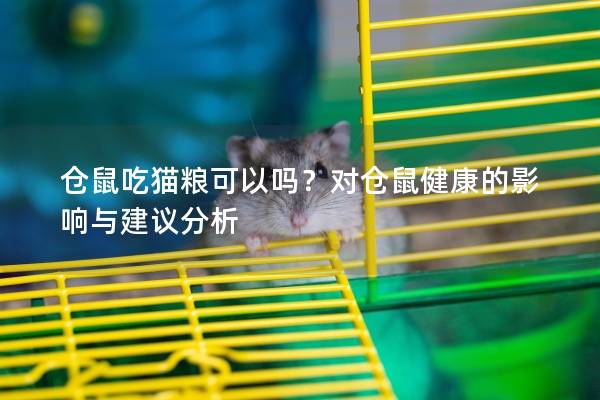 仓鼠吃猫粮可以吗？对仓鼠健康的影响与建议分析