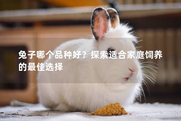 兔子哪个品种好？探索适合家庭饲养的最佳选择