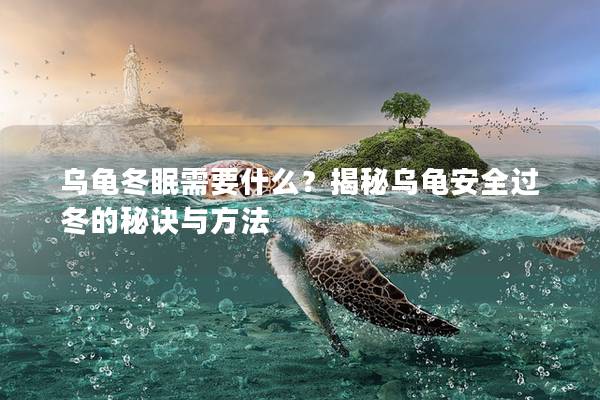 乌龟冬眠需要什么？揭秘乌龟安全过冬的秘诀与方法