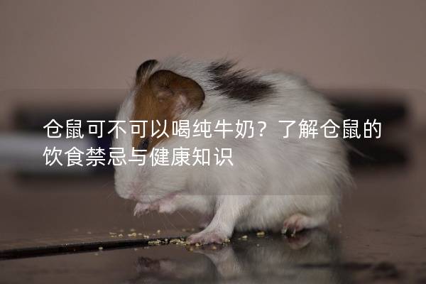 仓鼠可不可以喝纯牛奶？了解仓鼠的饮食禁忌与健康知识
