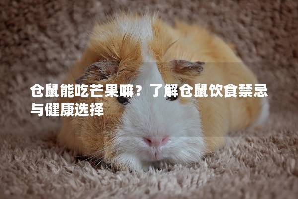 仓鼠能吃芒果嘛？了解仓鼠饮食禁忌与健康选择