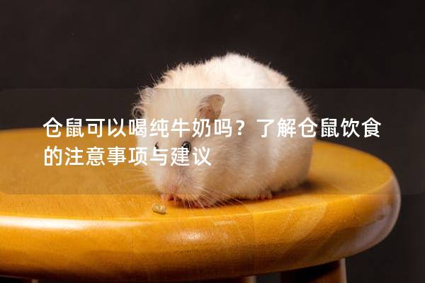 仓鼠可以喝纯牛奶吗？了解仓鼠饮食的注意事项与建议