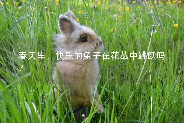 春天里，快乐的兔子在花丛中跳跃吗？