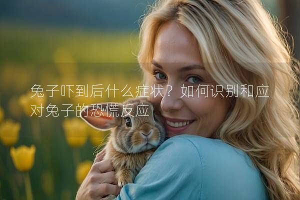 兔子吓到后什么症状？如何识别和应对兔子的恐慌反应
