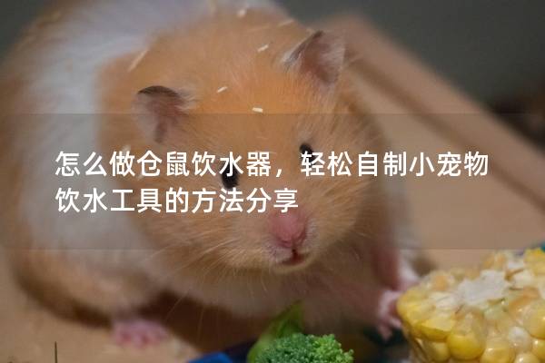 怎么做仓鼠饮水器，轻松自制小宠物饮水工具的方法分享