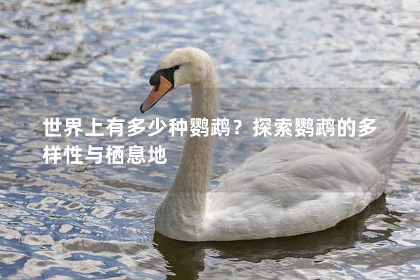 世界上有多少种鹦鹉？探索鹦鹉的多样性与栖息地