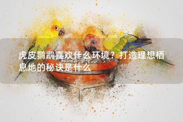 虎皮鹦鹉喜欢什么环境？打造理想栖息地的秘诀是什么