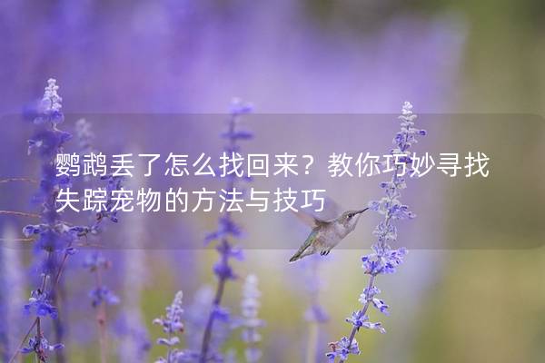 鹦鹉丢了怎么找回来？教你巧妙寻找失踪宠物的方法与技巧