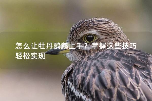 怎么让牡丹鹦鹉上手？掌握这些技巧轻松实现