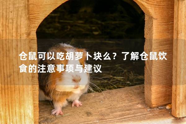 仓鼠可以吃胡萝卜块么？了解仓鼠饮食的注意事项与建议