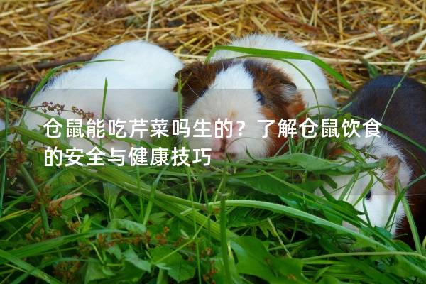 仓鼠能吃芹菜吗生的？了解仓鼠饮食的安全与健康技巧