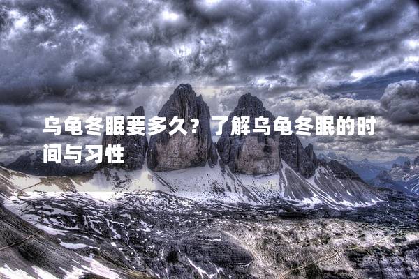 乌龟冬眠要多久？了解乌龟冬眠的时间与习性