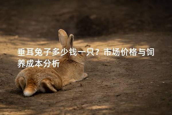 垂耳兔子多少钱一只？市场价格与饲养成本分析