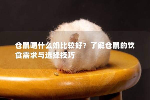 仓鼠喝什么奶比较好？了解仓鼠的饮食需求与选择技巧