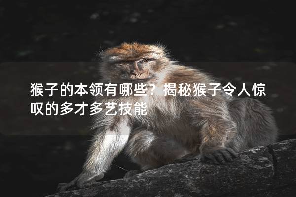 猴子的本领有哪些？揭秘猴子令人惊叹的多才多艺技能