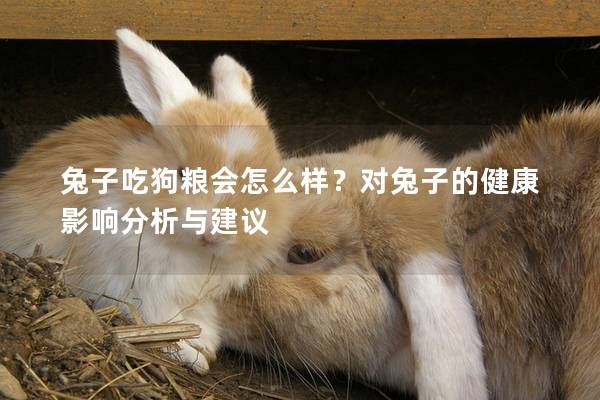 兔子吃狗粮会怎么样？对兔子的健康影响分析与建议