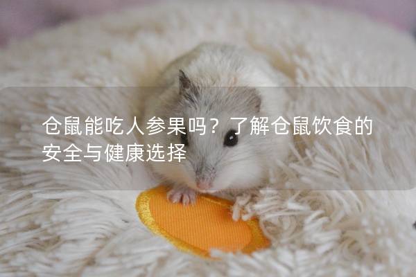 仓鼠能吃人参果吗？了解仓鼠饮食的安全与健康选择