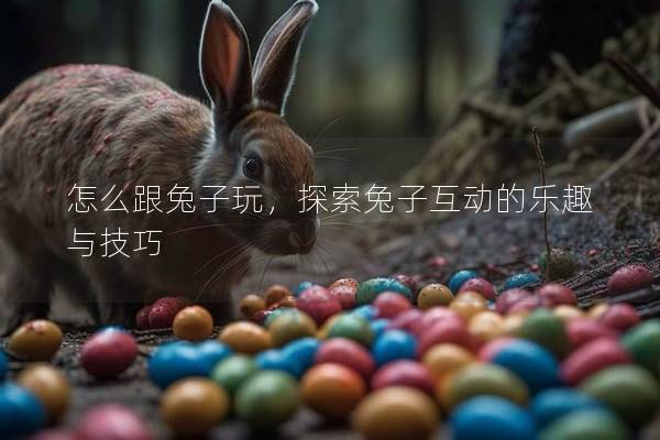 怎么跟兔子玩，探索兔子互动的乐趣与技巧