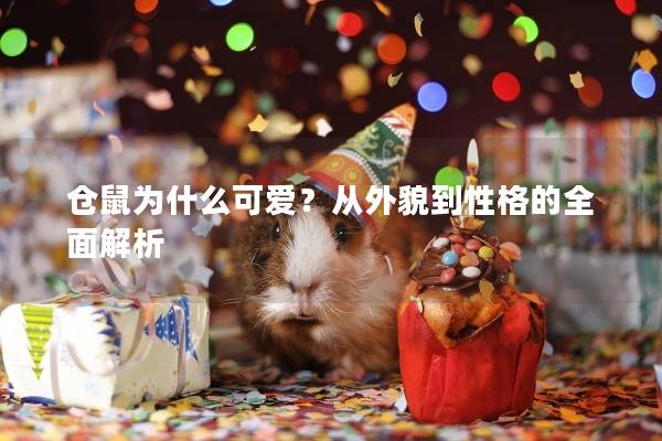 仓鼠为什么可爱？从外貌到性格的全面解析
