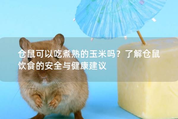 仓鼠可以吃煮熟的玉米吗？了解仓鼠饮食的安全与健康建议