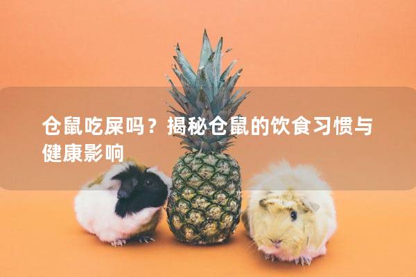 仓鼠吃屎吗？揭秘仓鼠的饮食习惯与健康影响