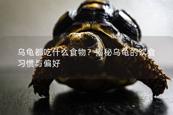 乌龟都吃什么食物？揭秘乌龟的饮食习惯与偏好