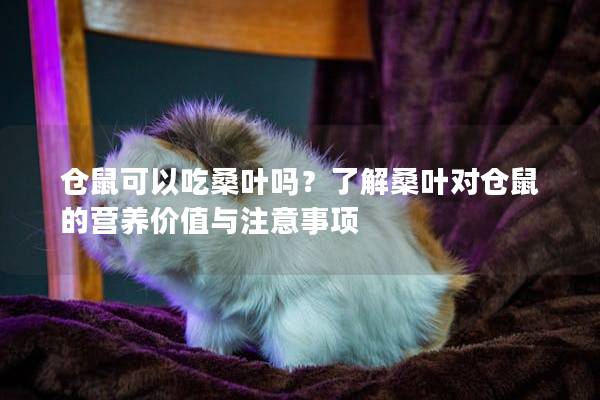 仓鼠可以吃桑叶吗？了解桑叶对仓鼠的营养价值与注意事项