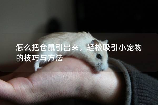怎么把仓鼠引出来，轻松吸引小宠物的技巧与方法