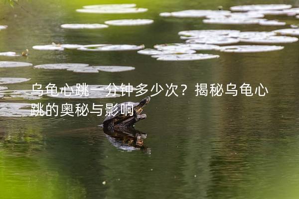 乌龟心跳一分钟多少次？揭秘乌龟心跳的奥秘与影响